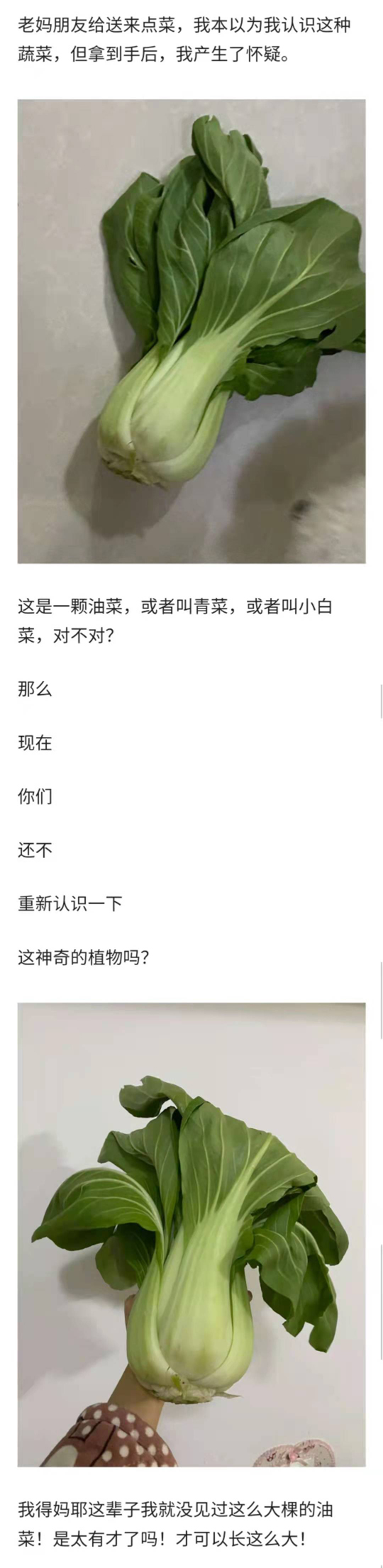 被哆啦A梦的放大灯照过