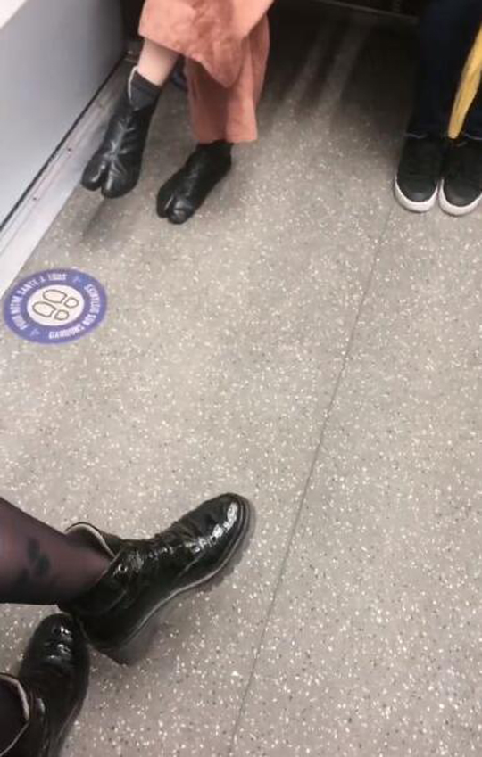 偶蹄目，初中知识