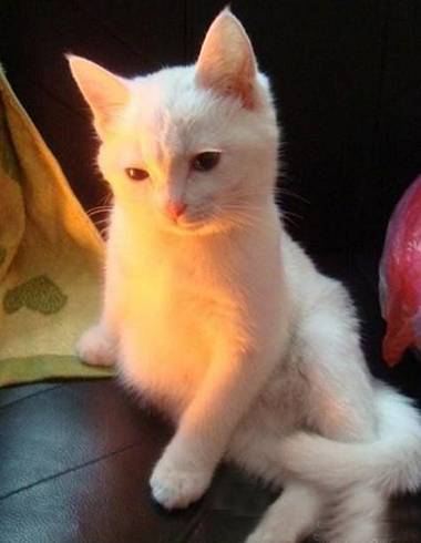 我这姿势好看吗？