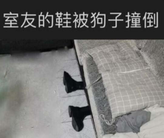 沙发长了脚而已