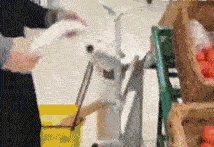 姑娘想多了，肯定是看你像个老司机！