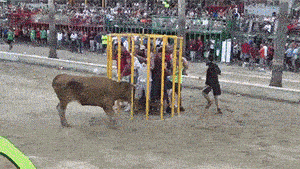 我就只把头放门口蹭蹭