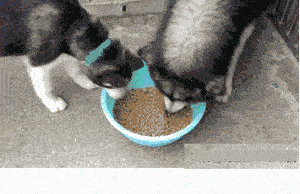 还有王法吗?还有法律吗?