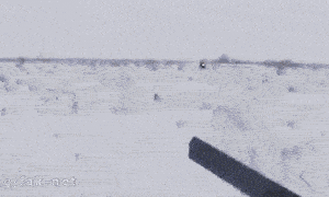 别开枪,我自己过来