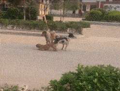 得不到的永远在骚动,被偏爱的总是有恃无恐