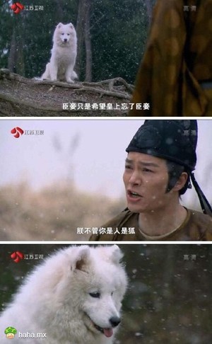 联真是日了狗了!