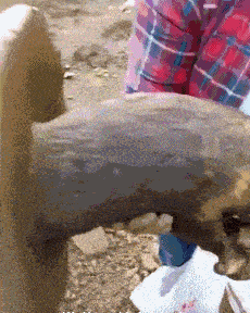 美女，这是假的吧，怎么会有这么大的蘑菇啊