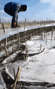 这个操作真的惊呆我了