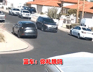 完了,蓝车长不高了
