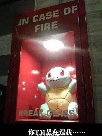 我需要拿精灵球砸吗?