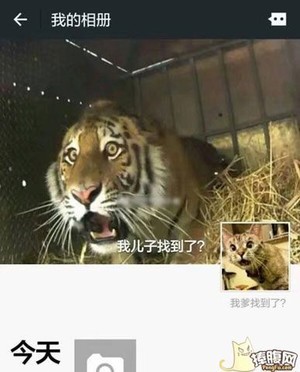 确认过眼神,你是我儿砸