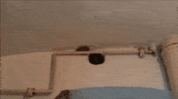 让你们见识见识二十几层高楼里的老鼠是怎么来的