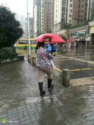 冷冷的冰雨在我后脑勺胡乱的拍!