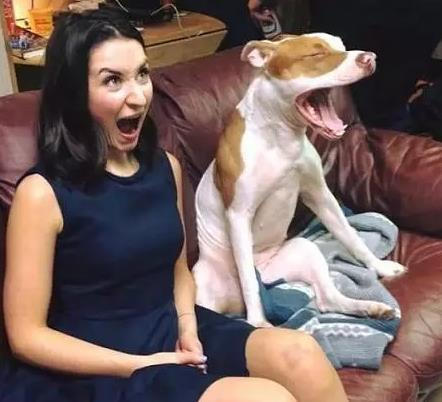 两个逗比,这是谁模仿谁?