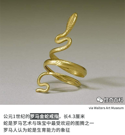 唔……戴在哪个部位？