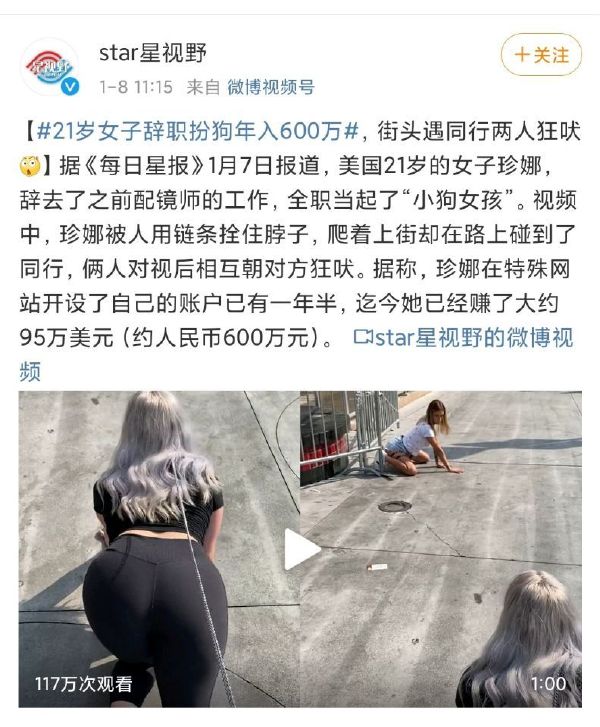今天我就想让你们知道，当狗有什么不好！