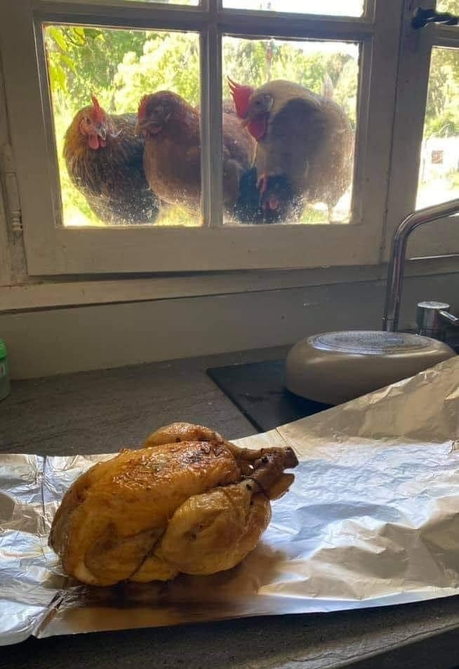 毕业后就是这样……