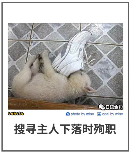 凄惨啊