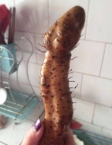 有点面熟啊