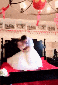 这新郎以后日子不好过啊