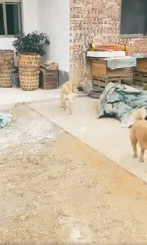 知道今天是什么日子吗?