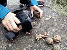 可以，这很土豪