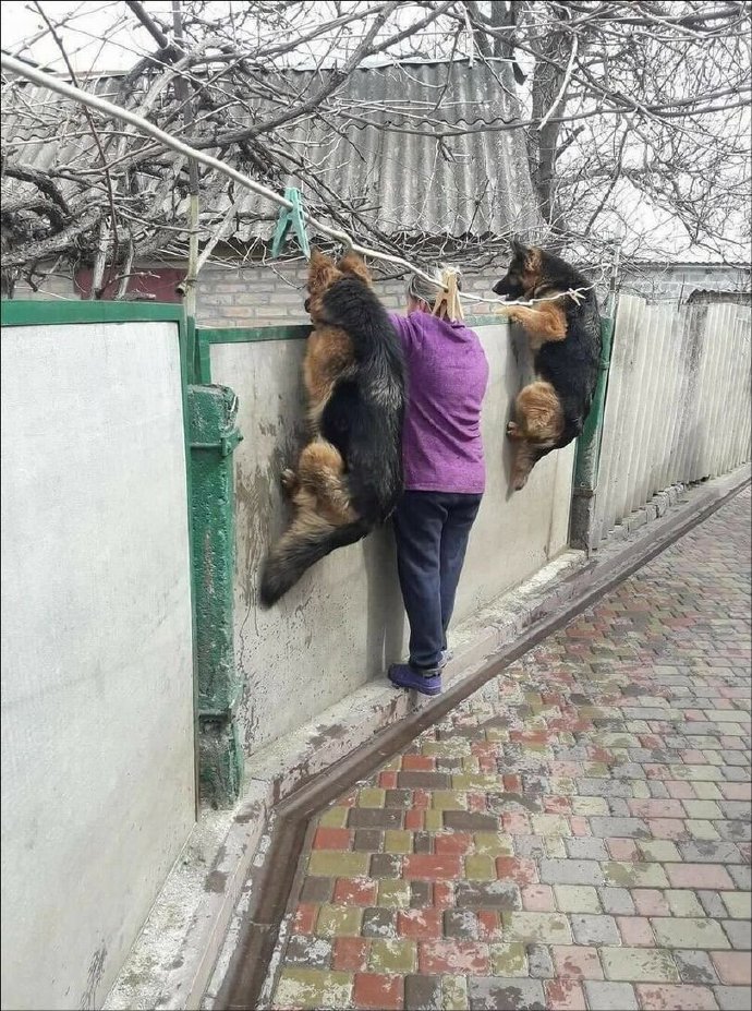 让我也康康!