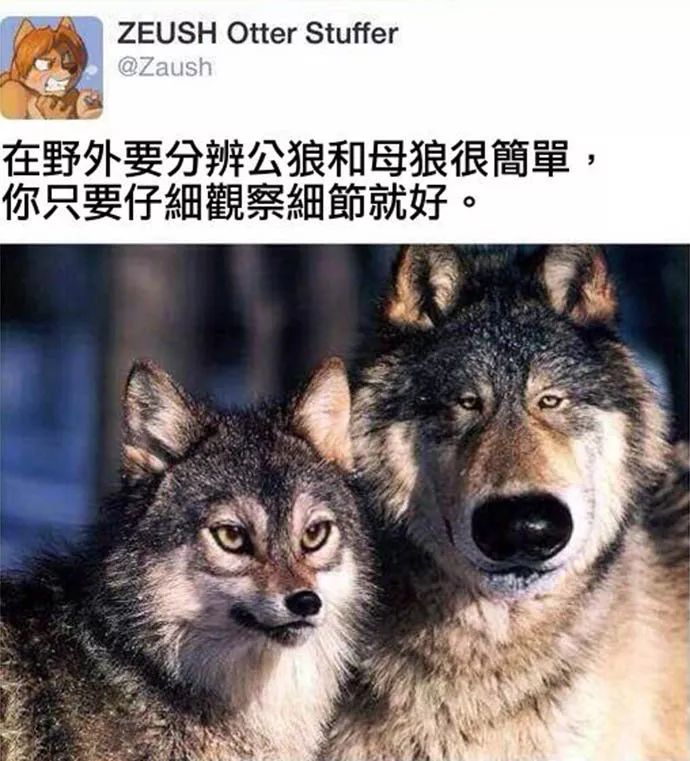 鬼才信你！