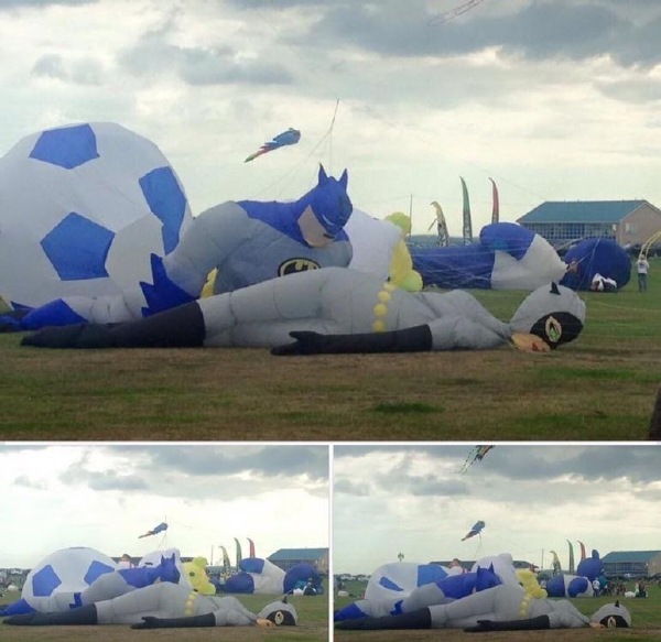 猫女的眼神很到位