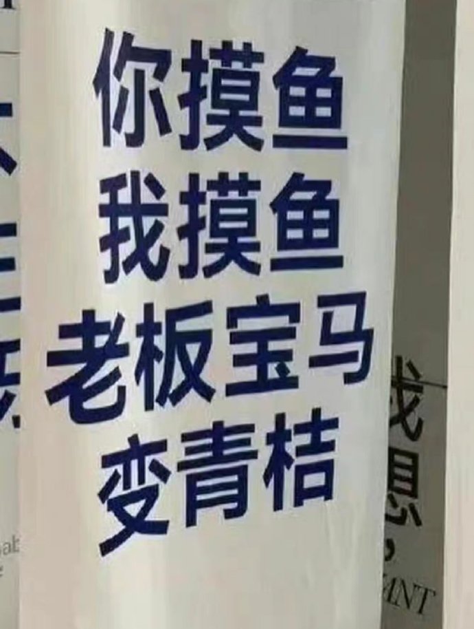 上班不摸鱼,脑子有问题