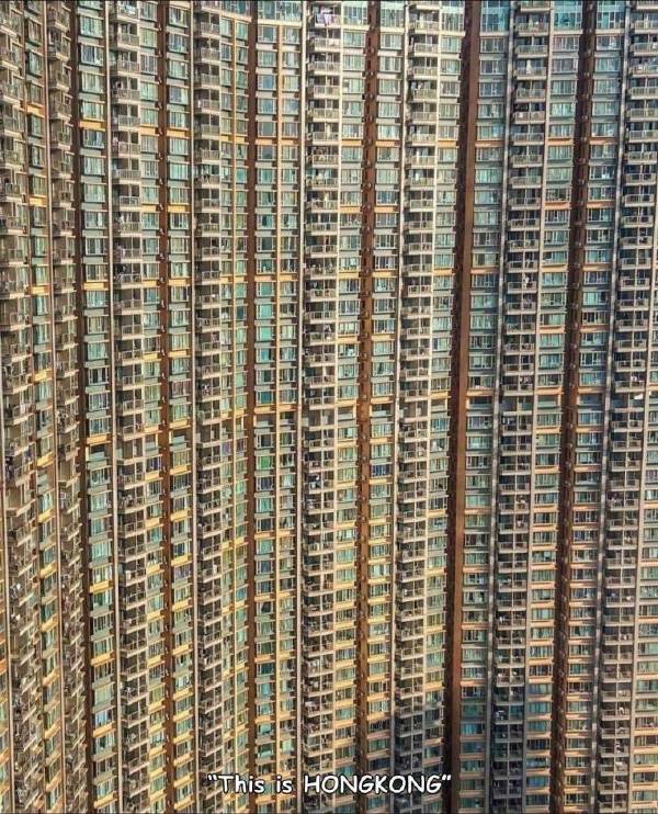 蜜蜂回家都会迷路