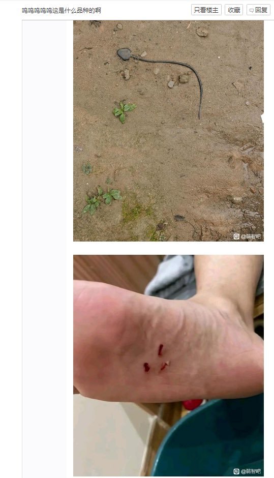 盘丝大仙，给了你三颗痣