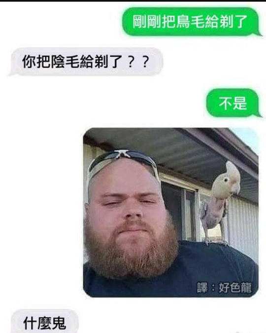 没毛病确实剃了鹦毛