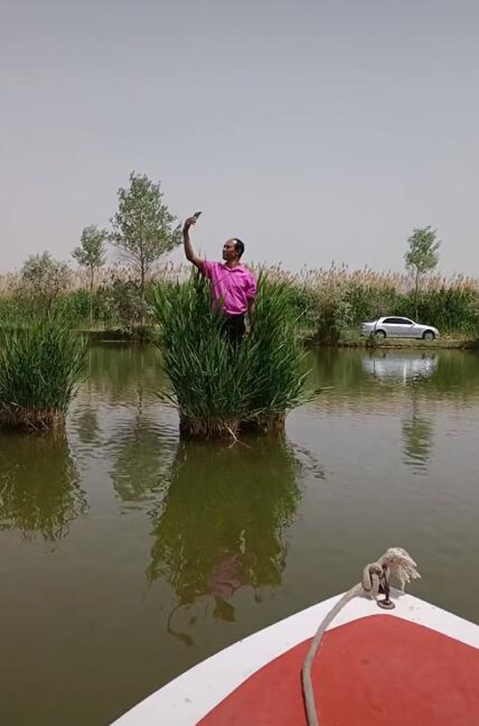 绿叶丛中的一朵花