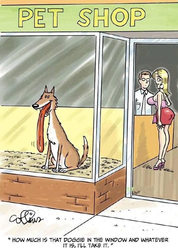 emmm……是我想的那样吗