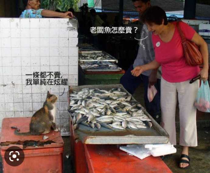 不卖！不卖！！！