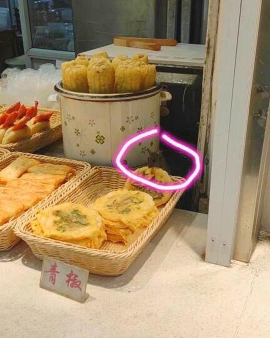 耗子喂之