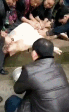 谁把铁布衫的秘籍丢猪圈了?还让这货给练了!!