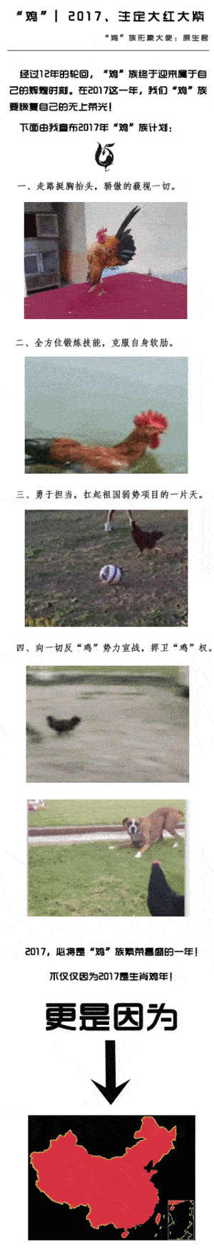 2017,必将是“鸡”族大红大紫的一年