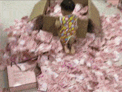 先定一个小目标,打扫卫生什么的让我来吧