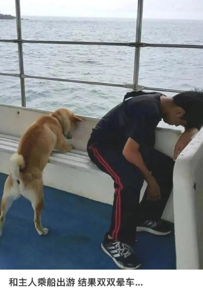 坐船居然晕车确实很强