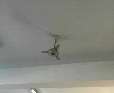 这个风扇是来卖萌的吗？