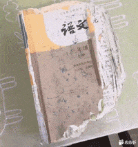 你在学校的时候做了什么?