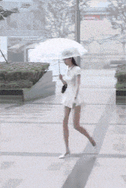 目不转睛的望着