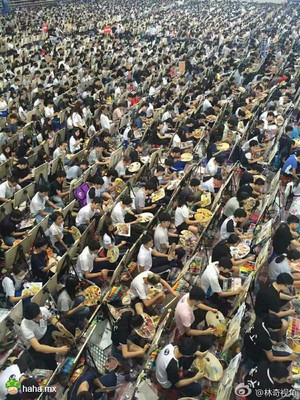 学习不好,家里还不太困难的,差不多全在这儿了。