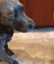 生无可恋,的眼神