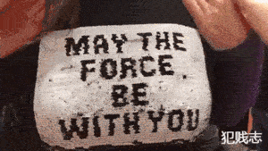 秦始皇焚书坑儒，我今儿挖坑埋鸭