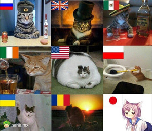 日本这个妖艳货,请联系我!