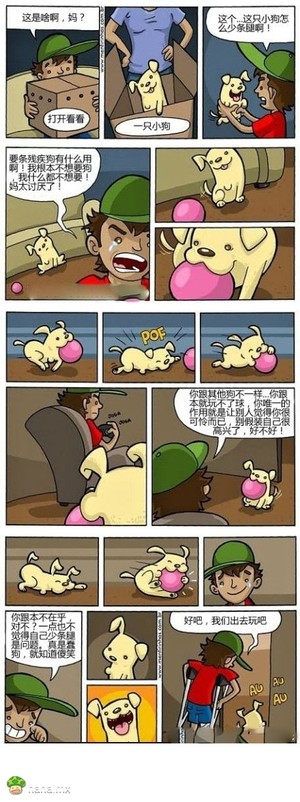 少了一条腿的狗狗，你还会爱吗？