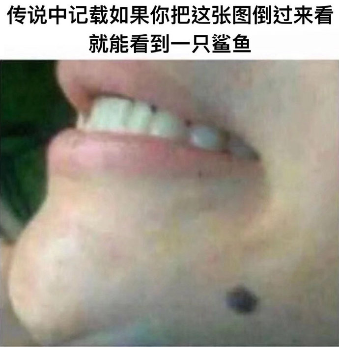 嘿，还真是鲨鱼